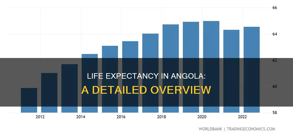 what is angola