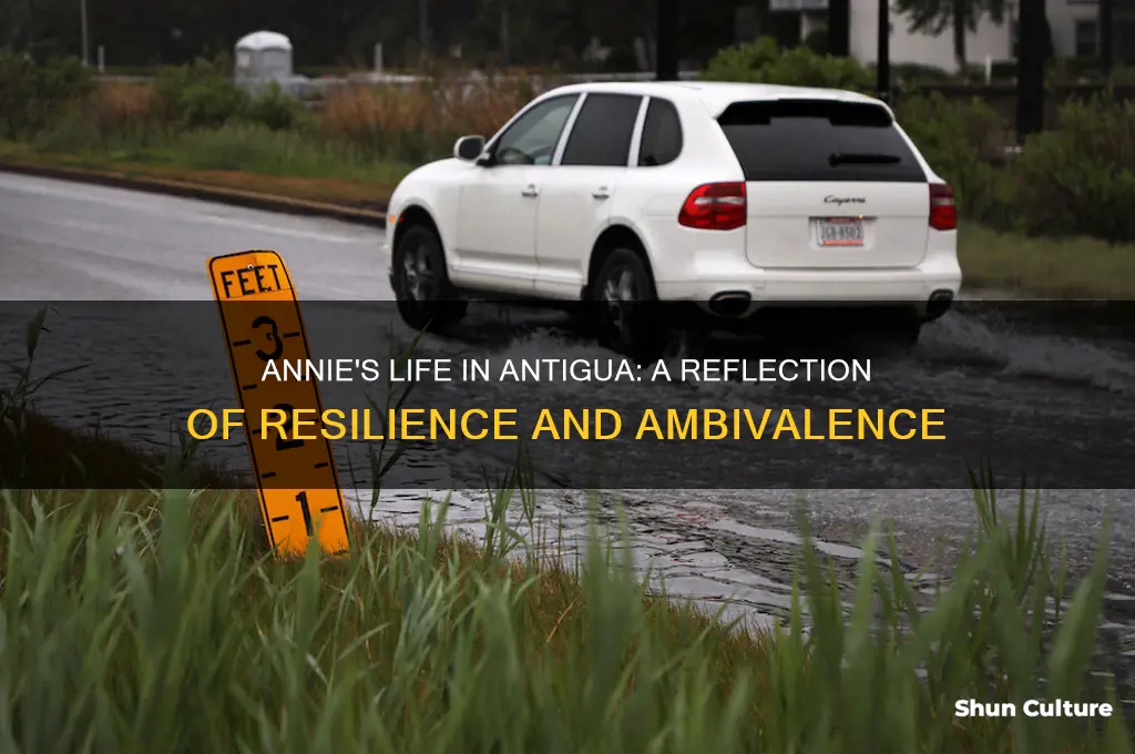 what is annie