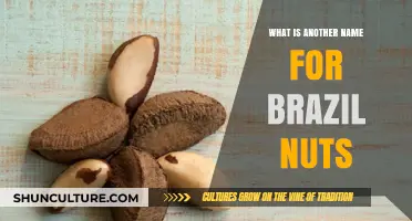 Unveiling the Alternative Name for Brazil Nuts: A Nutty Discovery
