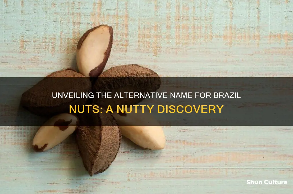 what is another name for brazil nuts