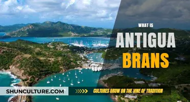 Exploring Antigua Brands: A Comprehensive Guide to Their Origin and Impact