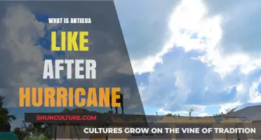 Antigua's Resilience: Life and Recovery Post-Hurricane Challenges and Hope