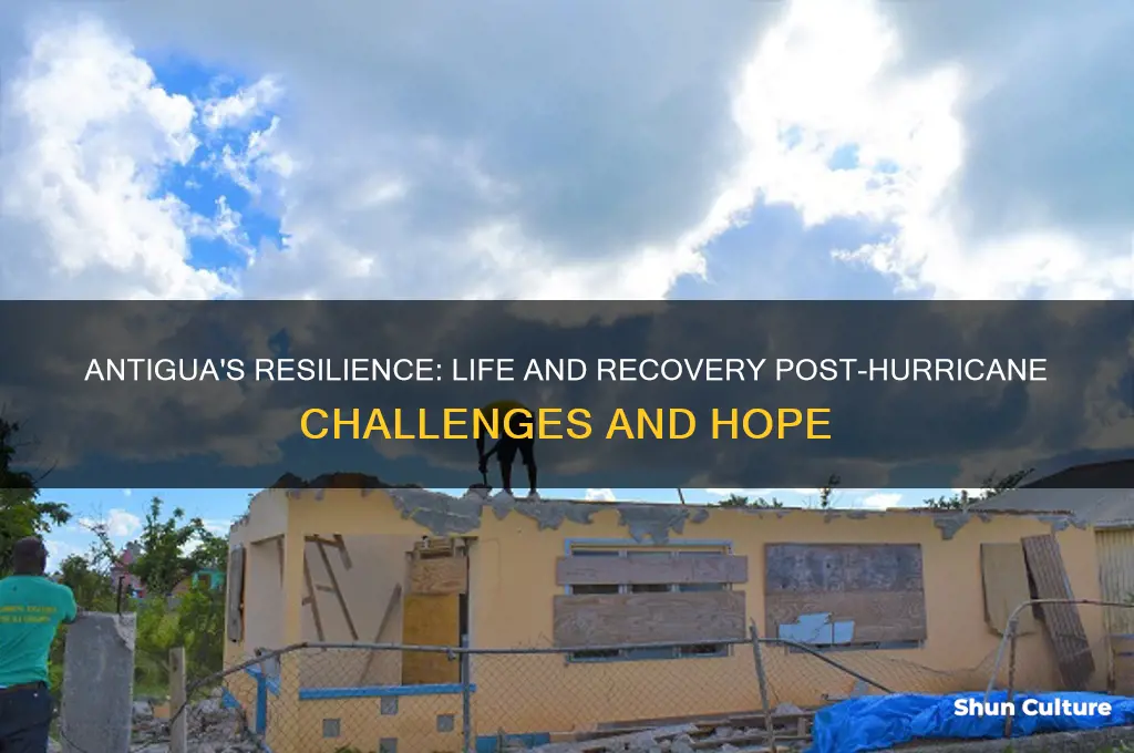 what is antigua like after hurricane
