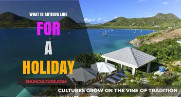 Discover Antigua: Sun, Sea, Culture, and Adventure Await Your Holiday