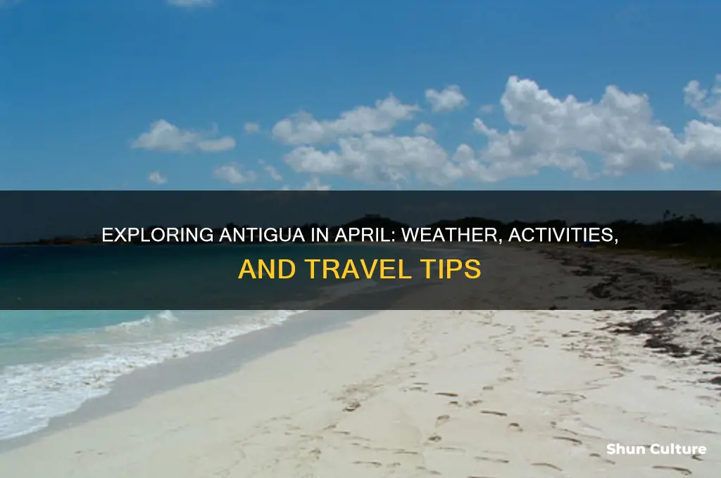 what is antigua like in april