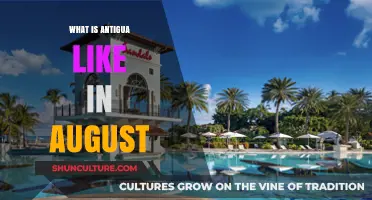 Exploring Antigua in August: Weather, Activities, and Travel Tips