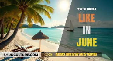 Exploring Antigua's June Weather, Culture, and Top Activities to Enjoy