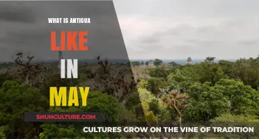 Exploring Antigua in May: Weather, Activities, and Travel Tips