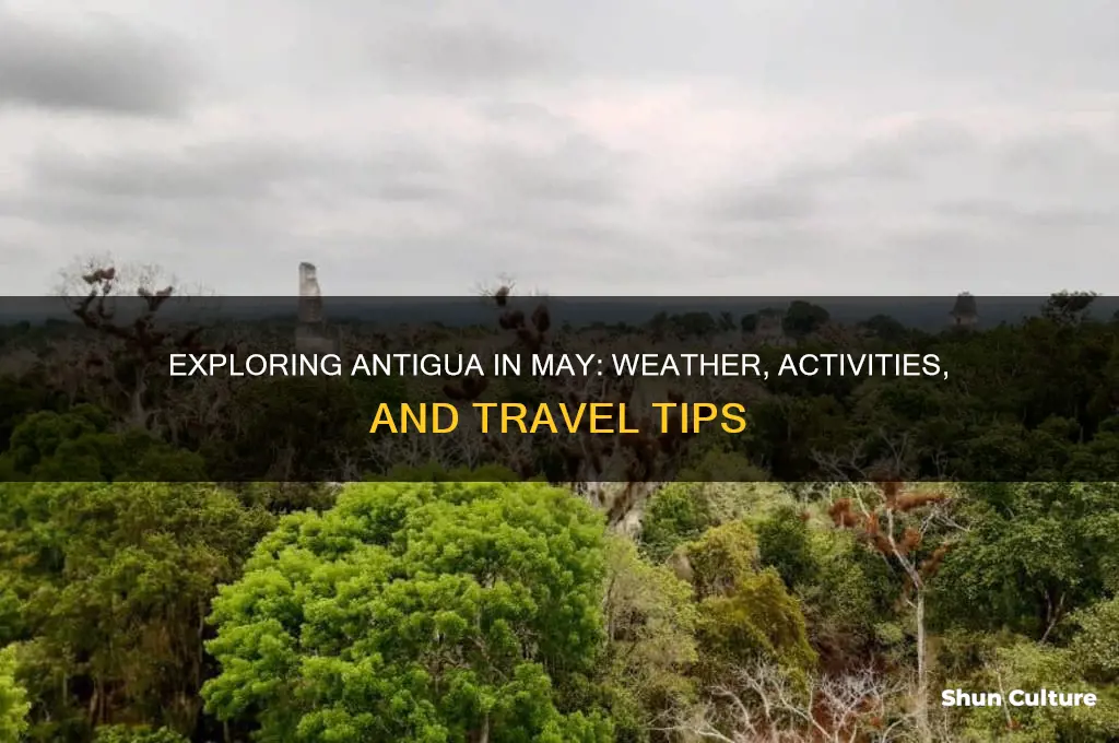 what is antigua like in may