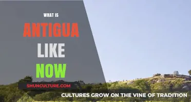 Exploring Antigua Today: Culture, Changes, and Modern Lifestyle Insights