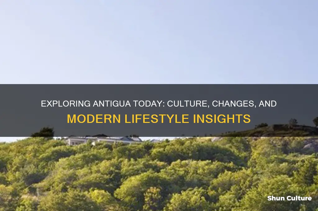 what is antigua like now