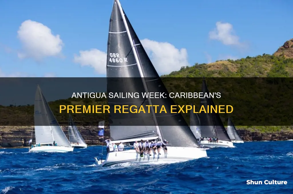 what is antigua sailing week