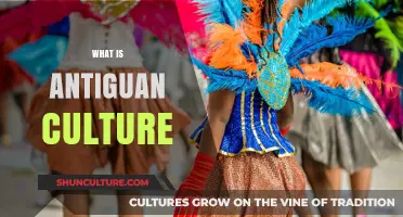 Exploring Antigua's Rich Heritage: Traditions, Music, and Vibrant Lifestyle