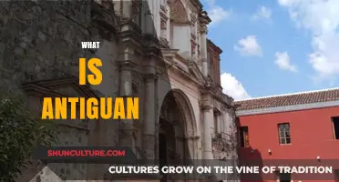 Exploring Antigua's Culture, History, and Identity: What Makes Antiguan Unique