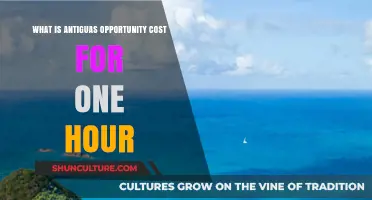 Understanding Antigua's Opportunity Cost: One Hour's Economic Impact Explained