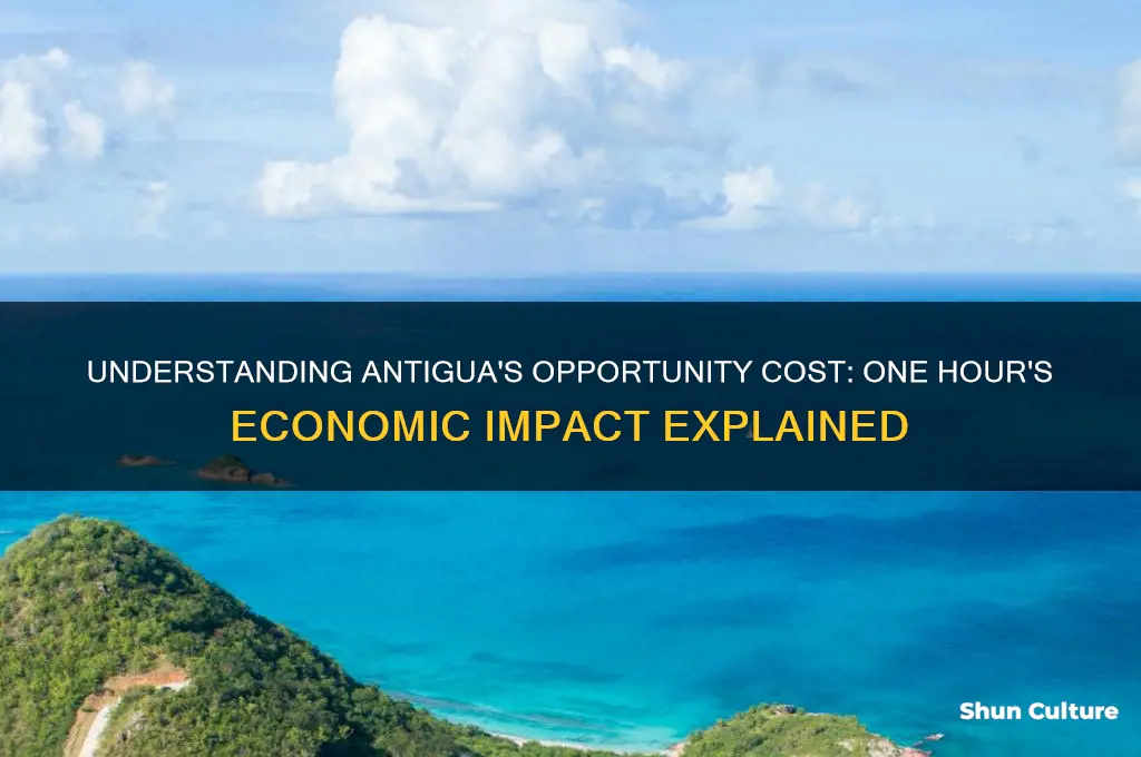 what is antiguas opportunity cost for one hour