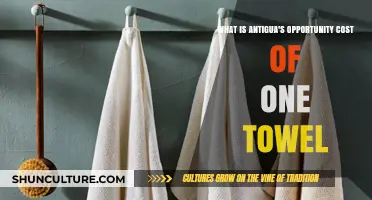 Antigua's Economic Trade-Off: The Opportunity Cost of Producing One Towel