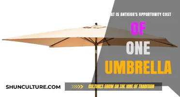 Antigua's Umbrella Opportunity Cost: Economic Insights and Trade-Offs