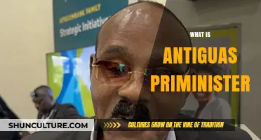 Understanding Antigua's Prime Minister: Role, History, and Significance Explained