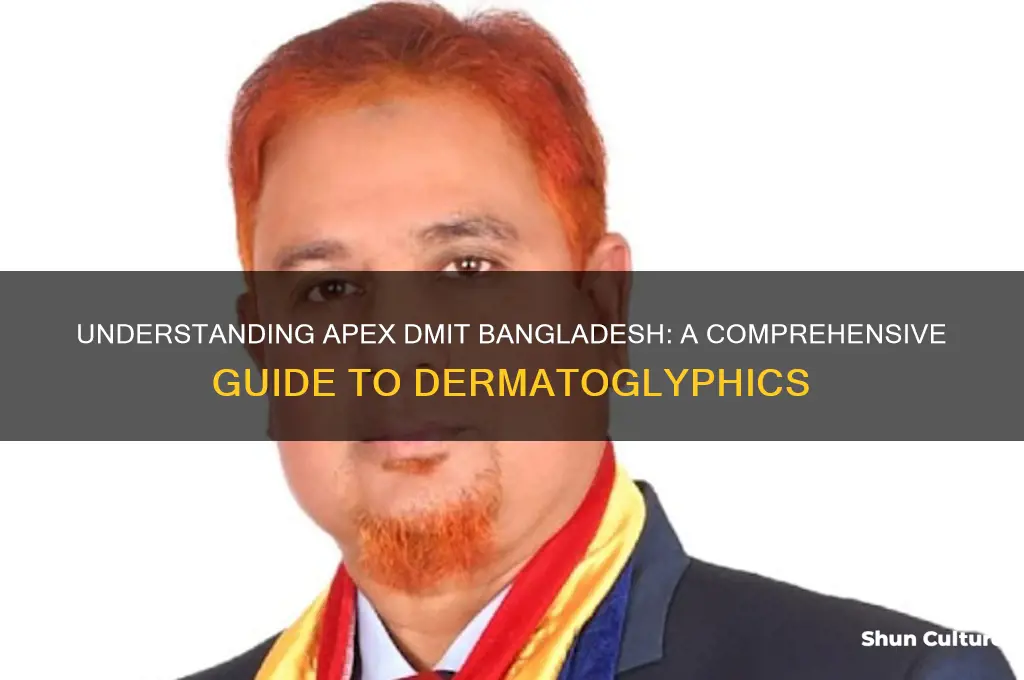 what is apex dmit bangladesh