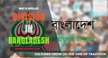 Understanding Bangladesh's Appellate Division: Role, Structure, and Significance