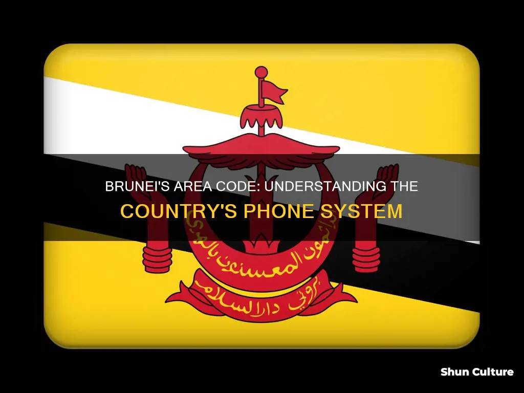 what is area code of brunei