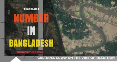 Understanding Bangladesh's Area Number System: A Comprehensive Guide