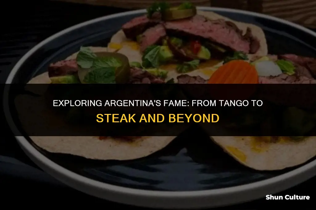 what is argentina well known for