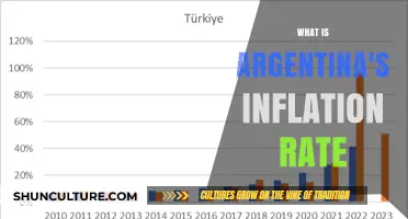 Decoding Argentina's Economic Puzzle: A Deep Dive into Inflation Rates