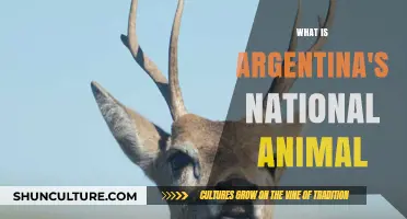 Exploring Argentina's National Animal: A Majestic Symbol of the Pampas