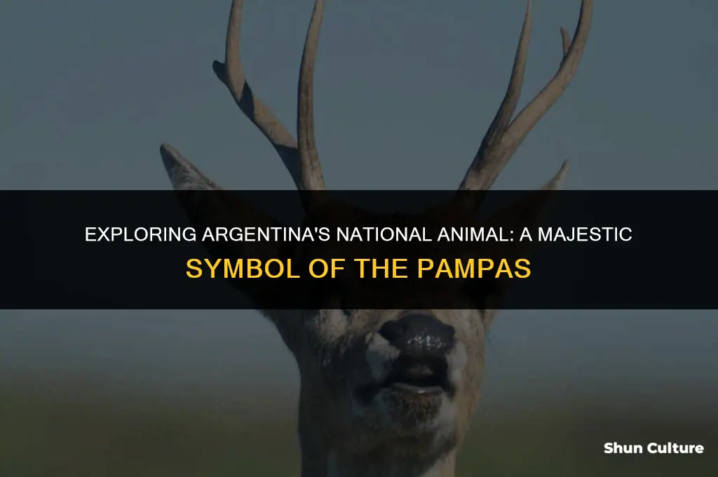 what is argentina
