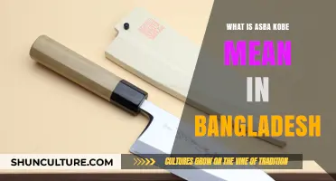 Understanding Asba Kobe: Cultural Significance in Bangladesh Explained