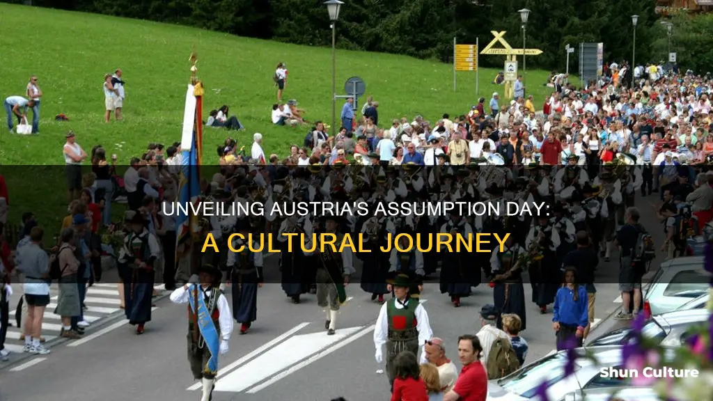 what is assumption day in austria