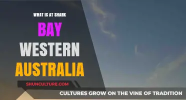 Shark Bay, Western Australia: A Natural Wonder