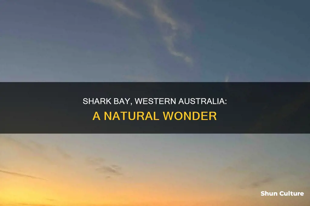 what is at shark bay western australia