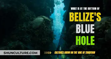 The Mystery of Belize's Blue Hole: What Lies Beneath?