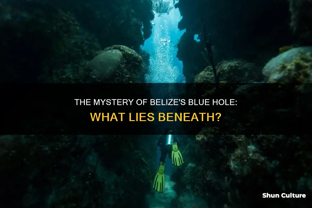 what is at the bottom of belize