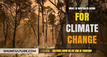 Australia's Climate Change Action Plan: What's Being Done?