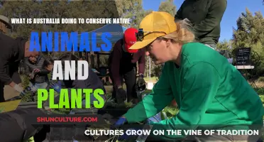 Australia's Conservation Efforts: Protecting Native Flora and Fauna