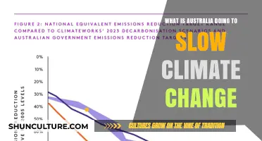 Australia's Climate Change Mitigation Strategies