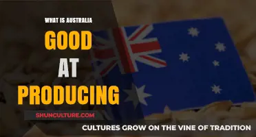 Australia's Strengths: Top Exports and Industries