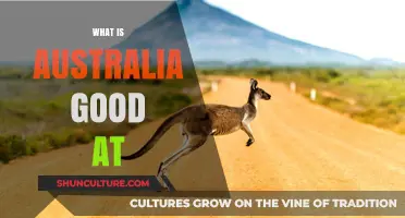 Australia's Strengths: A Country's Unique Advantages