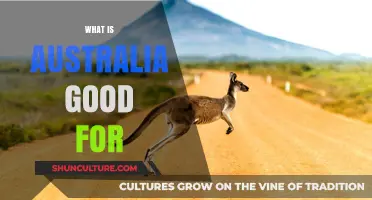 Exploring Australia's Unique Strengths and Assets