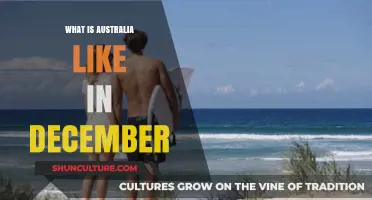 Exploring Australia's December Delights