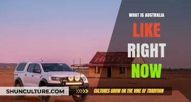 Australia Now: A Snapshot of the Land Down Under