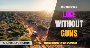 A Safer Australia: Life Without Guns