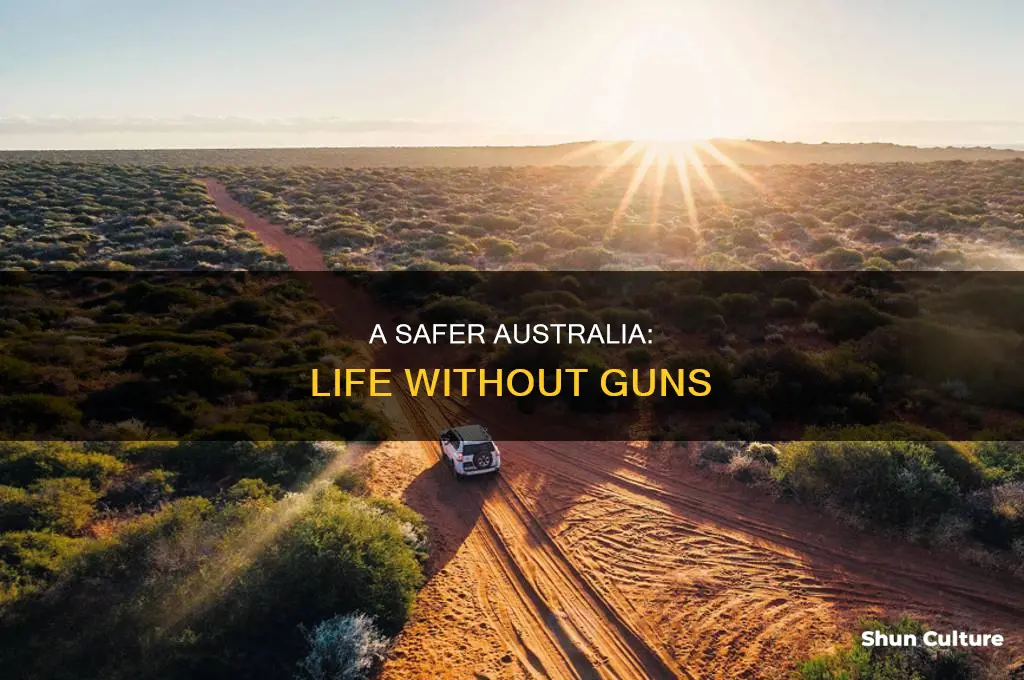 what is australia like without guns