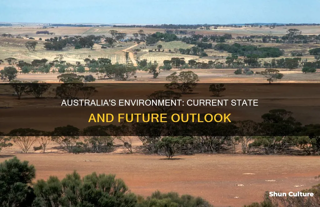 what is australia state of the environment