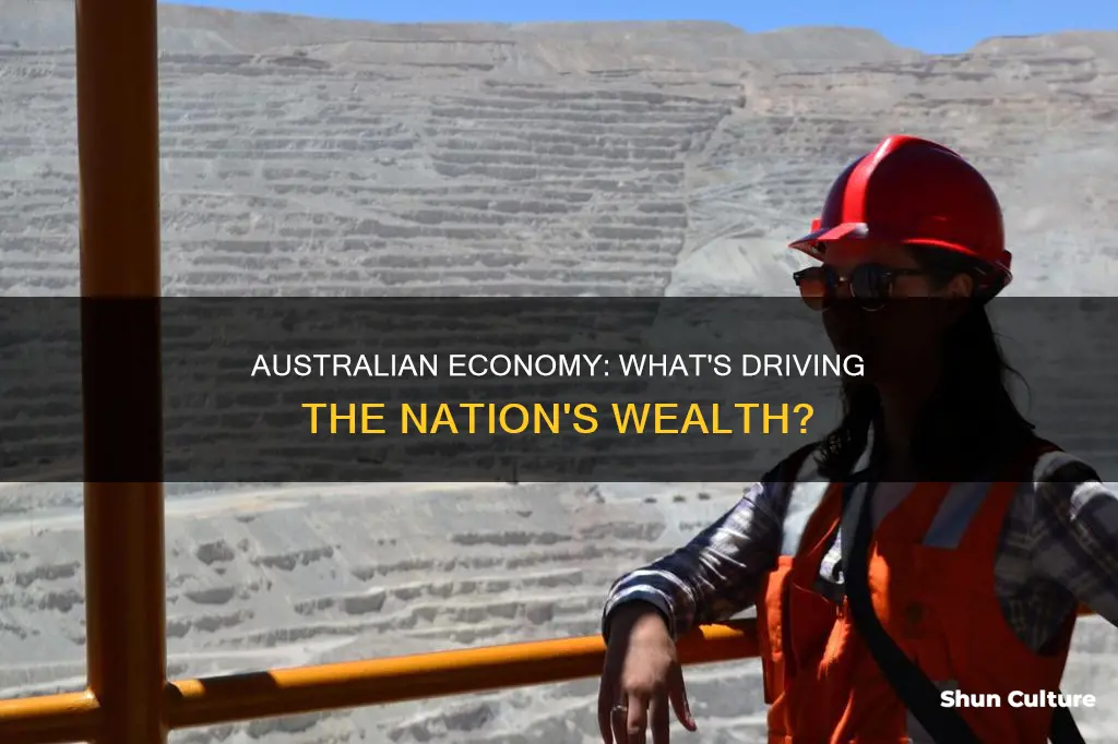 what is australian economy made up of