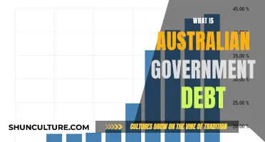 Australian Government Debt: How Much is Owed?